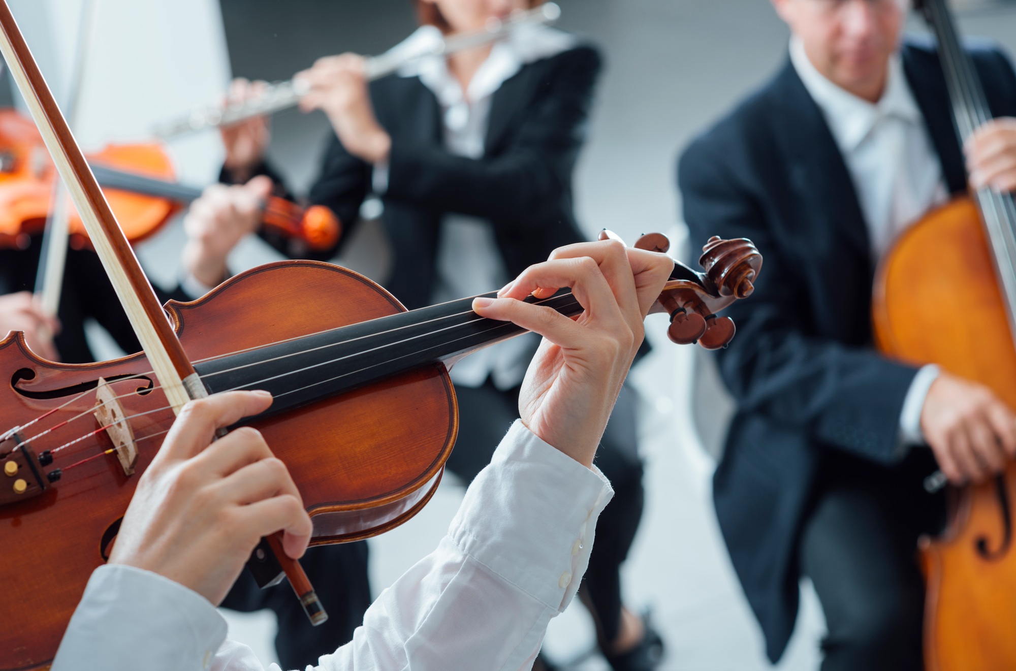 Classical orchestra string section performing